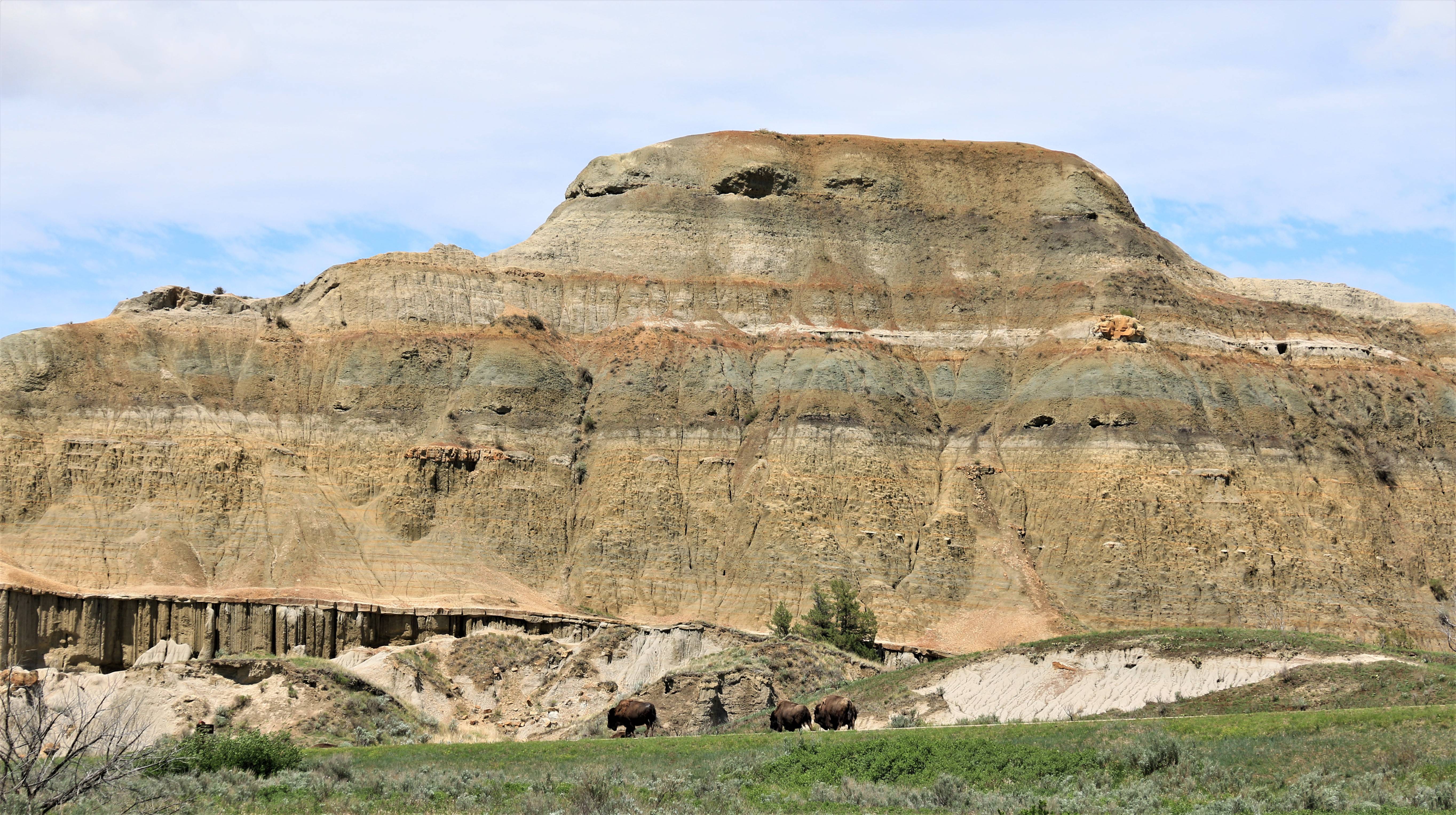 Theodore Roosevelt NP